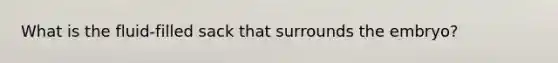 What is the fluid-filled sack that surrounds the embryo?