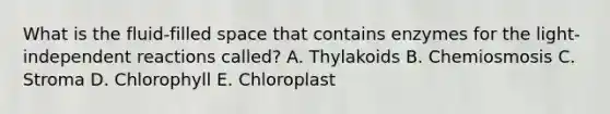 What is the fluid-filled space that contains enzymes for the light-independent reactions called? A. Thylakoids B. Chemiosmosis C. Stroma D. Chlorophyll E. Chloroplast