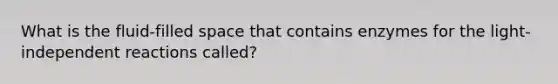 What is the fluid-filled space that contains enzymes for the light-independent reactions called?