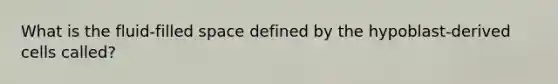 What is the fluid-filled space defined by the hypoblast-derived cells called?