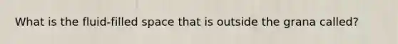 What is the fluid-filled space that is outside the grana called?