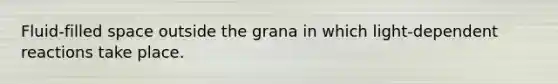 Fluid-filled space outside the grana in which light-dependent reactions take place.