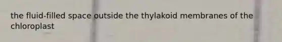 the fluid-filled space outside the thylakoid membranes of the chloroplast