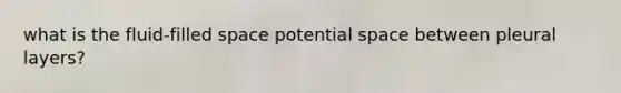 what is the fluid-filled space potential space between pleural layers?
