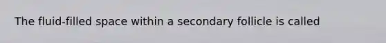 The fluid-filled space within a secondary follicle is called