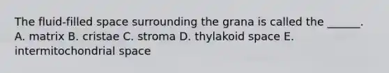 The fluid-filled space surrounding the grana is called the ______. A. matrix B. cristae C. stroma D. thylakoid space E. intermitochondrial space