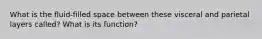 What is the fluid-filled space between these visceral and parietal layers called? What is its function?