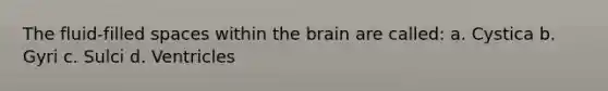 The fluid-filled spaces within the brain are called: a. Cystica b. Gyri c. Sulci d. Ventricles