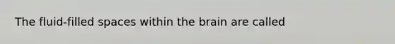 The fluid-filled spaces within the brain are called