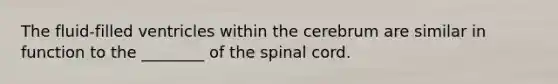 The fluid-filled ventricles within the cerebrum are similar in function to the ________ of the spinal cord.