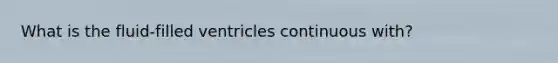 What is the fluid-filled ventricles continuous with?