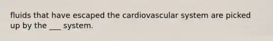 fluids that have escaped the cardiovascular system are picked up by the ___ system.