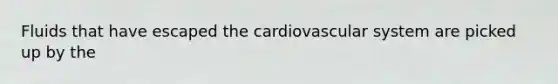 Fluids that have escaped the cardiovascular system are picked up by the