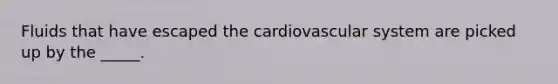 Fluids that have escaped the cardiovascular system are picked up by the _____.