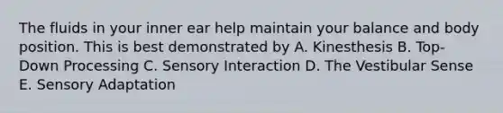 The fluids in your inner ear help maintain your balance and body position. This is best demonstrated by A. Kinesthesis B. Top-Down Processing C. Sensory Interaction D. The Vestibular Sense E. Sensory Adaptation