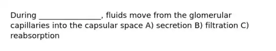 During ________________, fluids move from the glomerular capillaries into the capsular space A) secretion B) filtration C) reabsorption