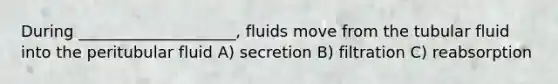 During ____________________, fluids move from the tubular fluid into the peritubular fluid A) secretion B) filtration C) reabsorption