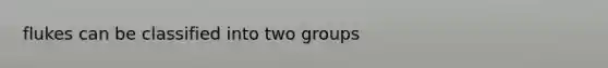 flukes can be classified into two groups