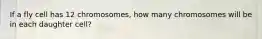 If a fly cell has 12 chromosomes, how many chromosomes will be in each daughter cell?