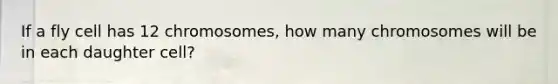 If a fly cell has 12 chromosomes, how many chromosomes will be in each daughter cell?