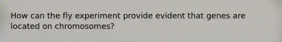 How can the fly experiment provide evident that genes are located on chromosomes?