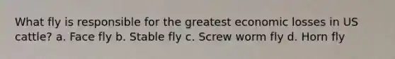 What fly is responsible for the greatest economic losses in US cattle? a. Face fly b. Stable fly c. Screw worm fly d. Horn fly