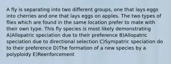 A fly is separating into two different groups, one that lays eggs into cherries and one that lays eggs on apples. The two types of flies which are found in the same location prefer to mate with their own type. This fly species is most likely demonstrating A)Allopatric speciation due to their preference B)Allopatric speciation due to directional selection C)Sympatric speciation do to their preference D)The formation of a new species by a polyploidy E)Reenforcement