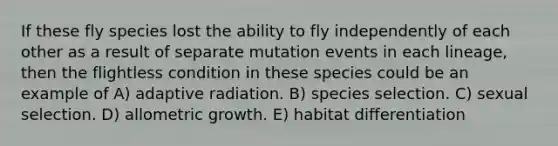 If these fly species lost the ability to fly independently of each other as a result of separate mutation events in each lineage, then the flightless condition in these species could be an example of A) adaptive radiation. B) species selection. C) sexual selection. D) allometric growth. E) habitat differentiation