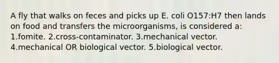 A fly that walks on feces and picks up E. coli O157:H7 then lands on food and transfers the microorganisms, is considered a: 1.fomite. 2.cross-contaminator. 3.mechanical vector. 4.mechanical OR biological vector. 5.biological vector.