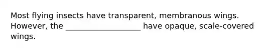 Most flying insects have transparent, membranous wings. However, the ___________________ have opaque, scale-covered wings.