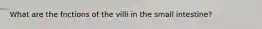 What are the fnctions of the villi in the small intestine?
