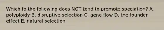 Which fo the following does NOT tend to promote speciation? A. polyploidy B. disruptive selection C. gene flow D. the founder effect E. natural selection