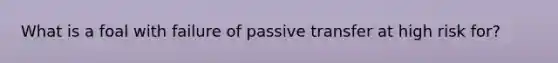 What is a foal with failure of passive transfer at high risk for?