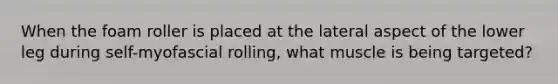 When the foam roller is placed at the lateral aspect of the lower leg during self-myofascial rolling, what muscle is being targeted?