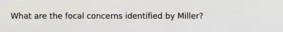 What are the focal concerns identified by Miller?