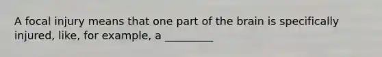 A focal injury means that one part of the brain is specifically injured, like, for example, a _________