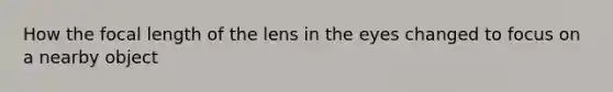 How the focal length of the lens in the eyes changed to focus on a nearby object