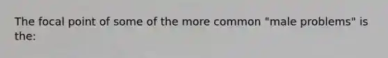The focal point of some of the more common "male problems" is the: