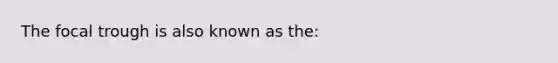 The focal trough is also known as the: