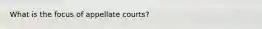 What is the focus of appellate courts?