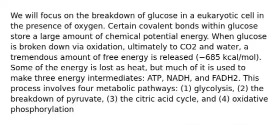 We will focus on the breakdown of glucose in a eukaryotic cell in the presence of oxygen. Certain covalent bonds within glucose store a large amount of chemical potential energy. When glucose is broken down via oxidation, ultimately to CO2 and water, a tremendous amount of free energy is released (−685 kcal/mol). Some of the energy is lost as heat, but much of it is used to make three energy intermediates: ATP, NADH, and FADH2. This process involves four metabolic pathways: (1) glycolysis, (2) the breakdown of pyruvate, (3) the citric acid cycle, and (4) oxidative phosphorylation