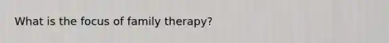 What is the focus of family therapy?