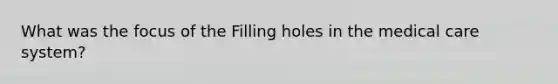 What was the focus of the Filling holes in the medical care system?