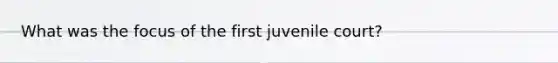 What was the focus of the first juvenile court?