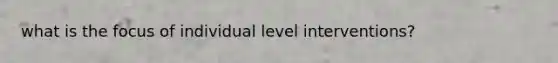 what is the focus of individual level interventions?