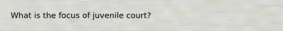 What is the focus of juvenile court?