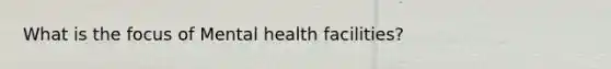 What is the focus of Mental health facilities?