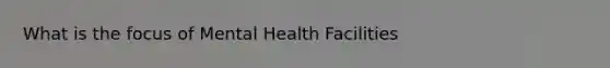 What is the focus of Mental Health Facilities