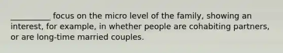 __________ focus on the micro level of the family, showing an interest, for example, in whether people are cohabiting partners, or are long-time married couples.