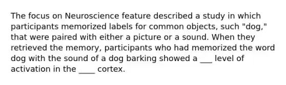 The focus on Neuroscience feature described a study in which participants memorized labels for common objects, such "dog," that were paired with either a picture or a sound. When they retrieved the memory, participants who had memorized the word dog with the sound of a dog barking showed a ___ level of activation in the ____ cortex.